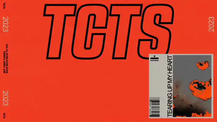 Tearing Up My Heart (Visualizer)