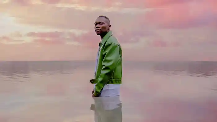 Jacaranda (Visualizer)