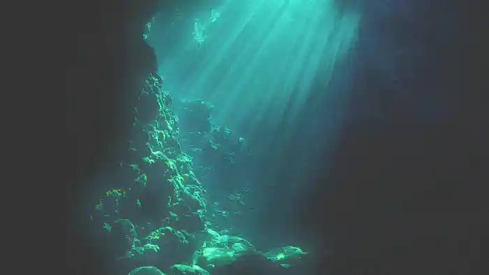 The Mermaids Lullaby (Visualiser)