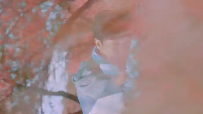 （......小小牧羊人）