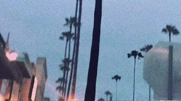 Everyone, Everywhere (Visualiser)