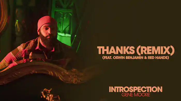 Thanks (Remix / Audio)