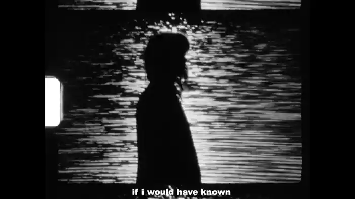 The Vine (Lyric Video)