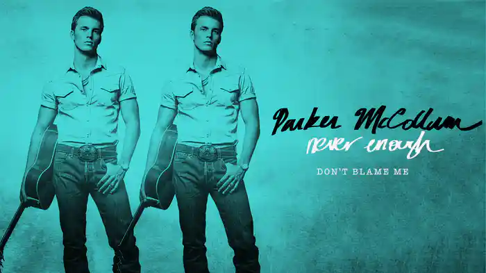 Don't Blame Me (Audio)