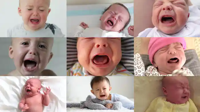 Nothing Is As Good As They Say It Is (Lyric Video)