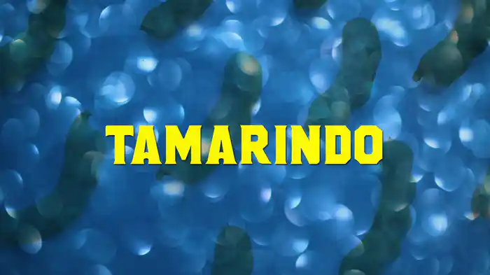 Tamarindo (LETRA/En Vivo)