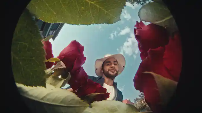 Ghosting (Performance Video)