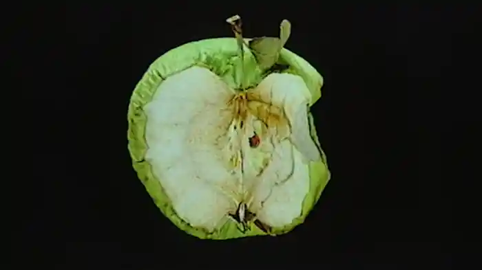 Puoi fare meglio (Lyric Video)