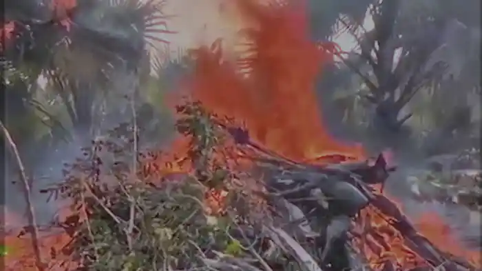 COFFEE REMIX (Visualizer)