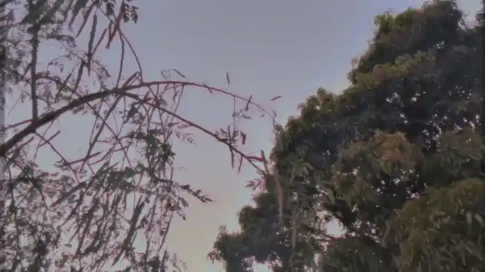 KEYS 2 THE MOON (Visualizer)