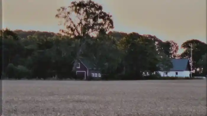 NEED YOU (Visualizer)