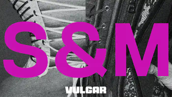 VULGAR (Visualiser)