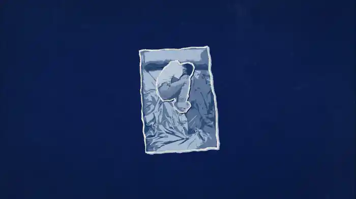 The Bed's Too Big Without You (Visualiser)