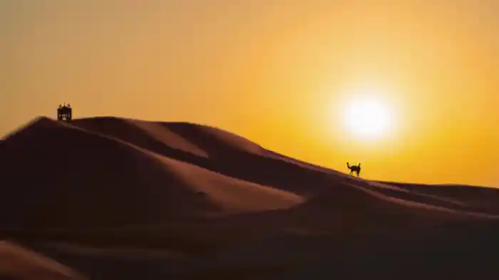 Tea In The Sahara (Visualiser)