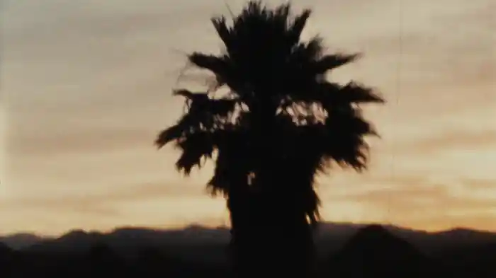 You Could Start A Cult (Visualizer)