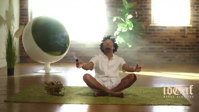 idGaf (Zen Visualizer)