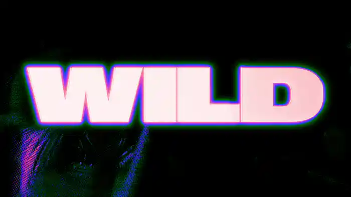 Wild (Lyric Video)