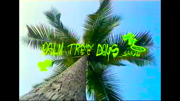 palmtreedays_1644.wav