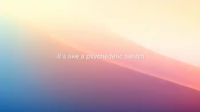 Psychedelic Switch (Lyric Video)