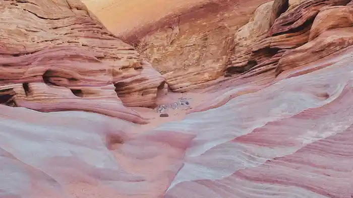 acceptances (orchestral expansion) (Visualiser)