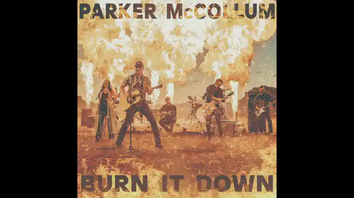 Burn It Down (Radio Edit / Audio)