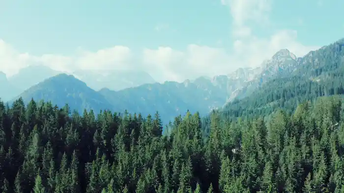 Center | Calming Piano Music & Guided Breathwork for Deep Relaxation | 20 Minutes (Visualizer)