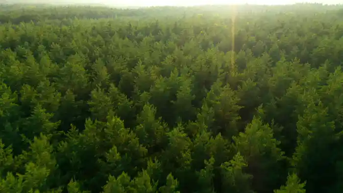 Balance | Serene Piano Music & Guided Breathwork for Improved Focus | 20 Minutes (Visualizer)