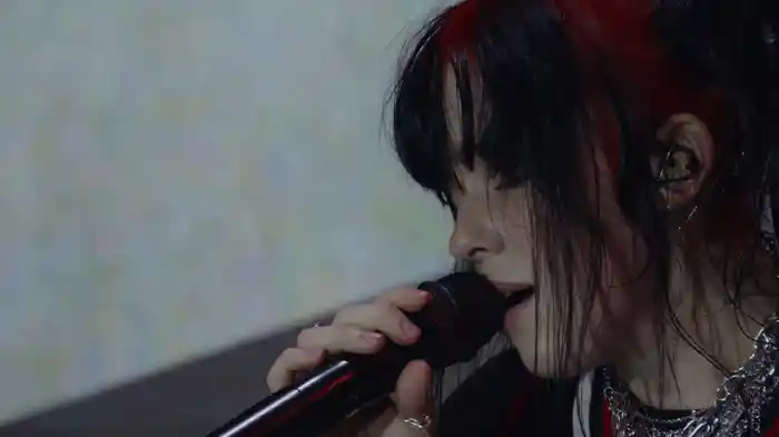 What Was I Made For? (Live From Lollapalooza Chicago 2023)