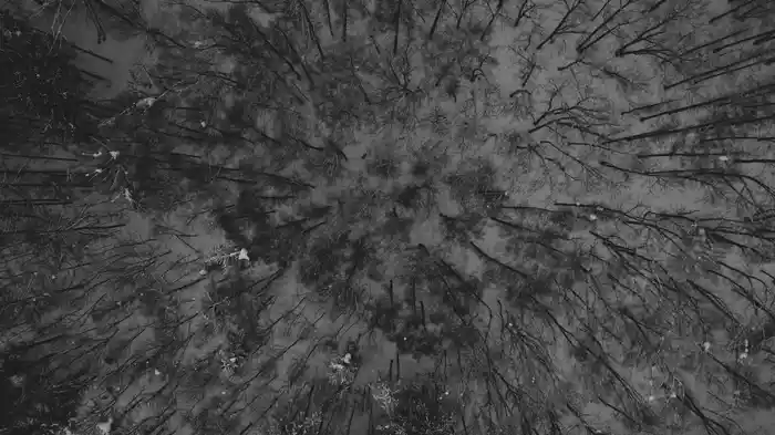 when it snows in May