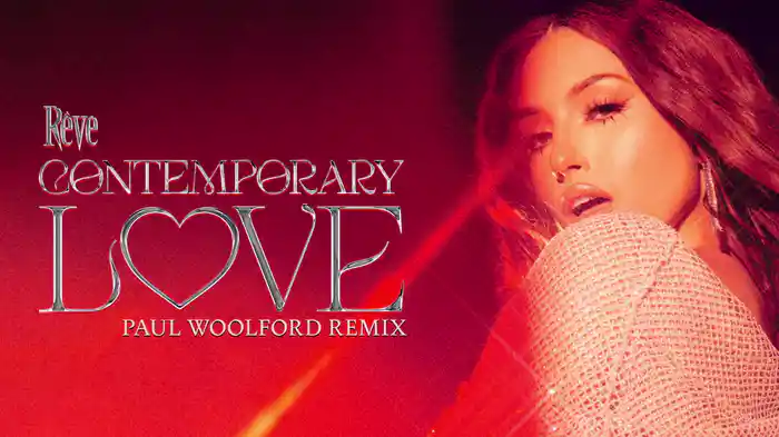 Contemporary Love (Paul Woolford Remix/Audio)