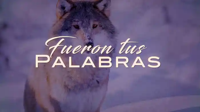 Fueron Tus Palabras (LETRA)