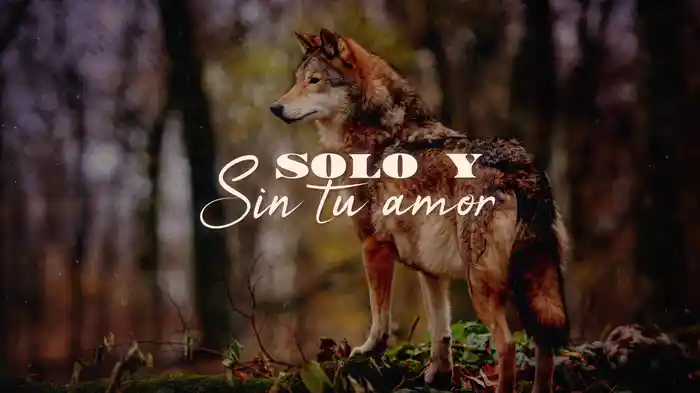 Solo Y Sin Su Amor (LETRA)