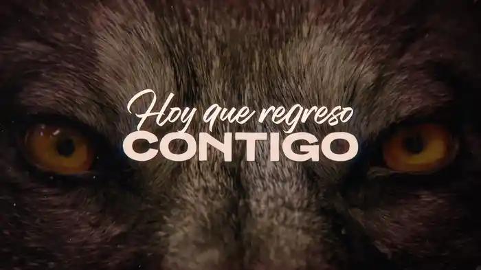 Hoy Que Regreso Contigo (LETRA)
