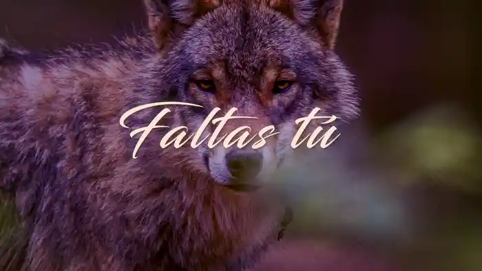 Faltas Tú (LETRA)
