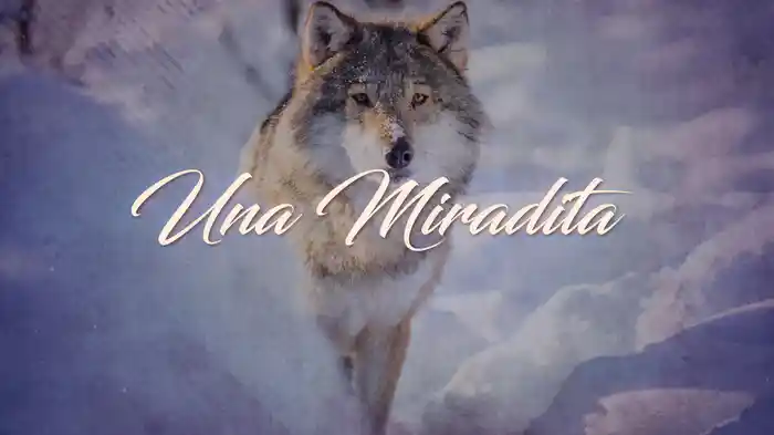 Una Miradita (LETRA)