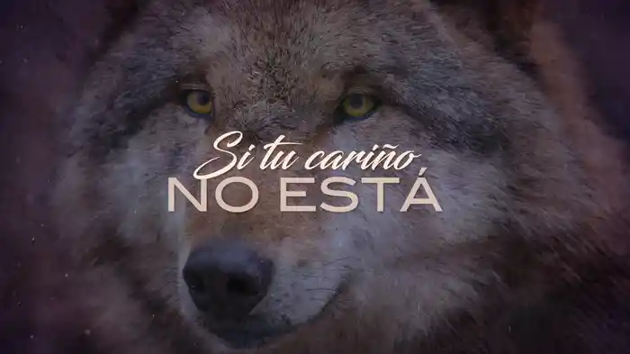 Si Tu Cariño No Está (LETRA)