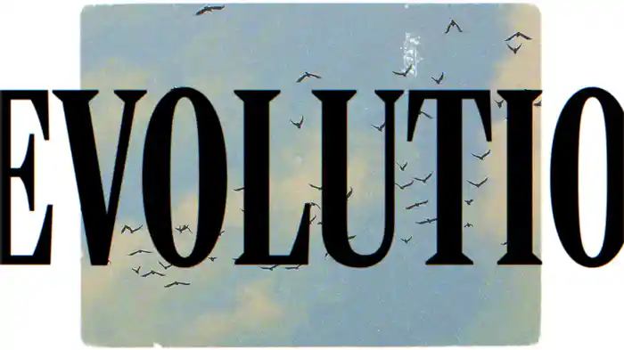 Evolution (Lyric Video)