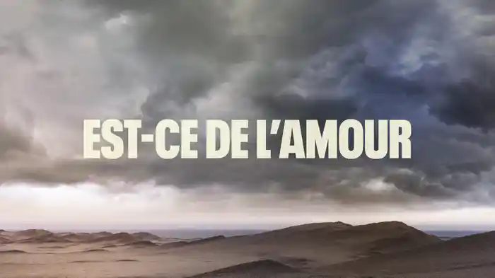 Is It Love (Lyric Video - French)