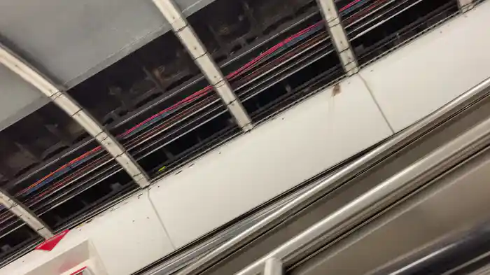 Say The Word (Visualiser)