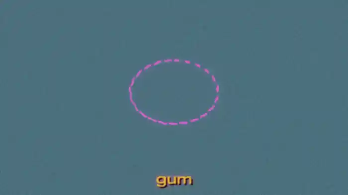 Gum (Lyric Video)