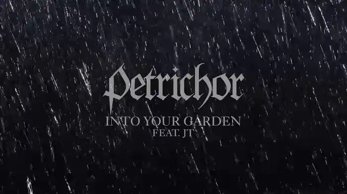 Into Your Garden (Visualizer)
