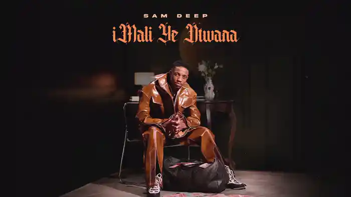 BraMfana (Visualizer)