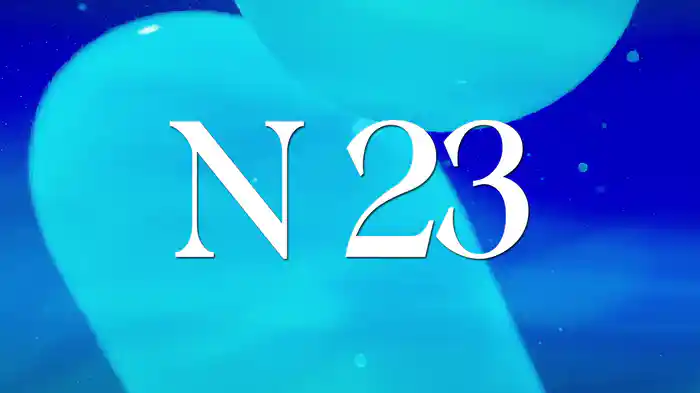 N 23 (LETRA)