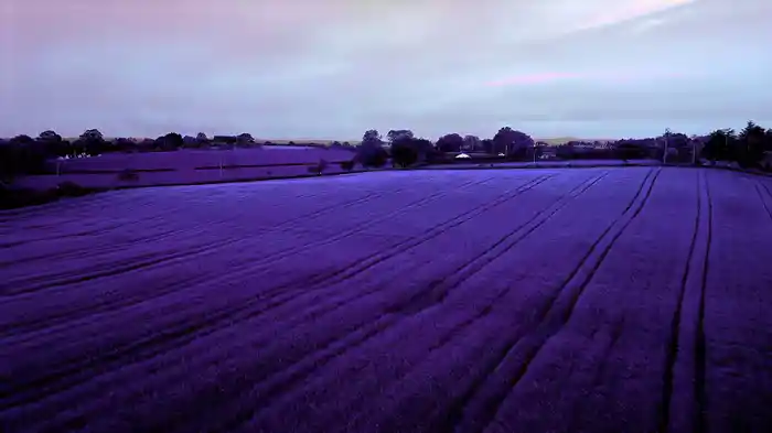 Questions solitaires... (Visualizer)