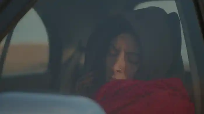 La puzza della città