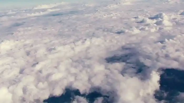 Under Your Wings (Lyric Video)