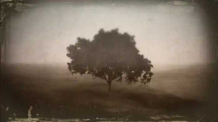 Waiting For You (Visualizer)