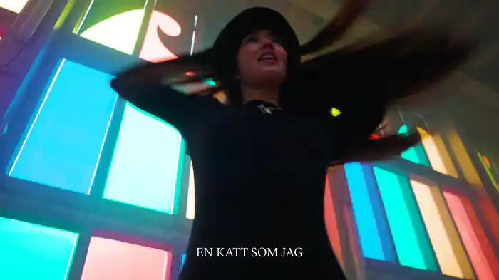 en katt som jag (Lyric Video)