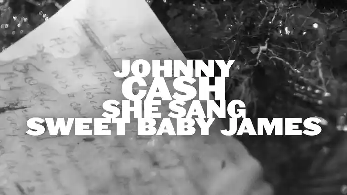 She Sang "Sweet Baby James" (Visualizer)