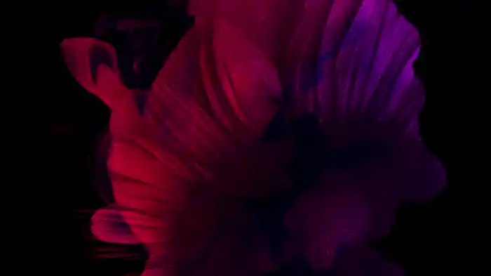 Finally (Techno Mix / Lyric Video)